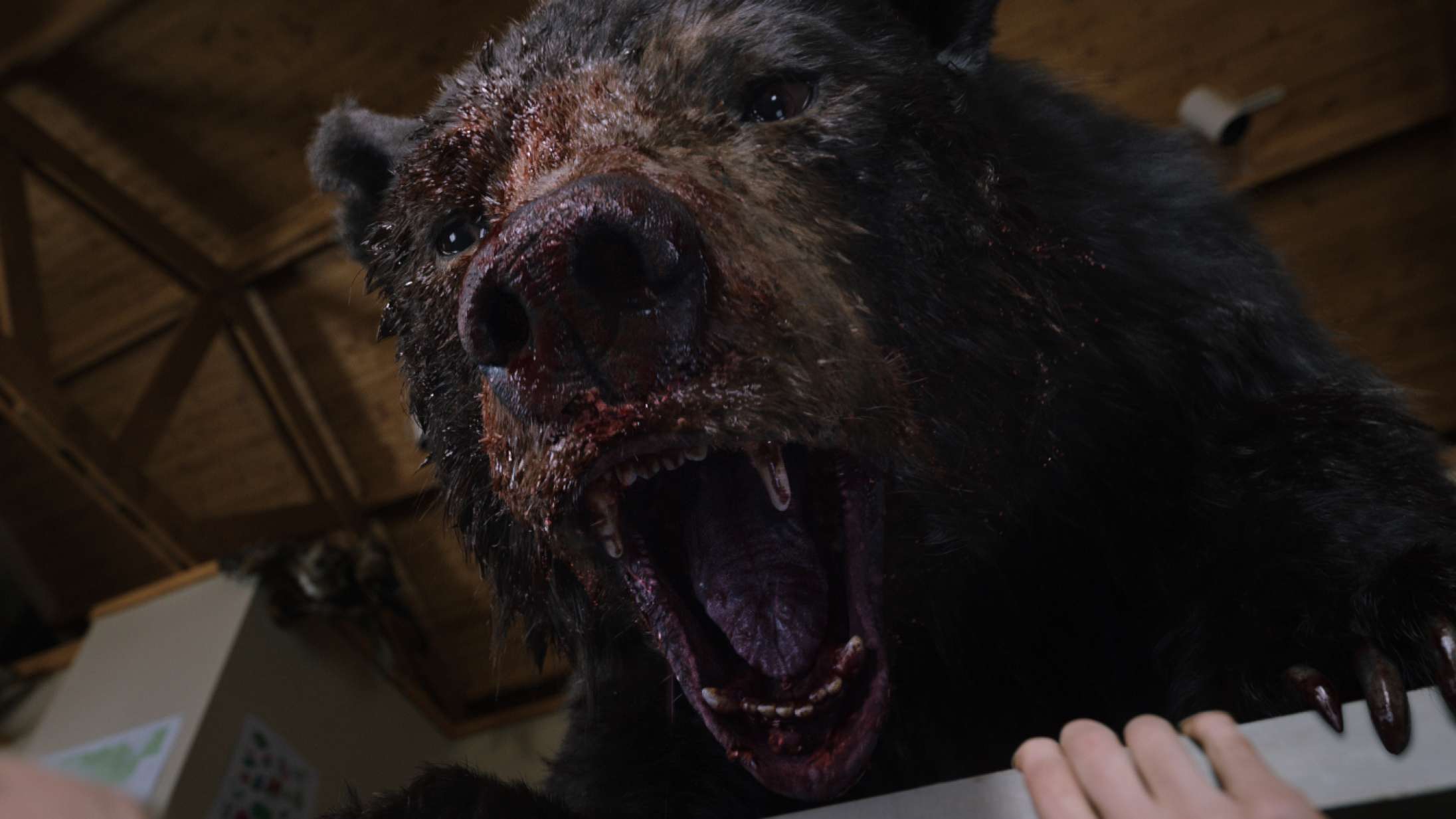 ’Cocaine Bear’: Med så fed en titel burde denne film være bedre