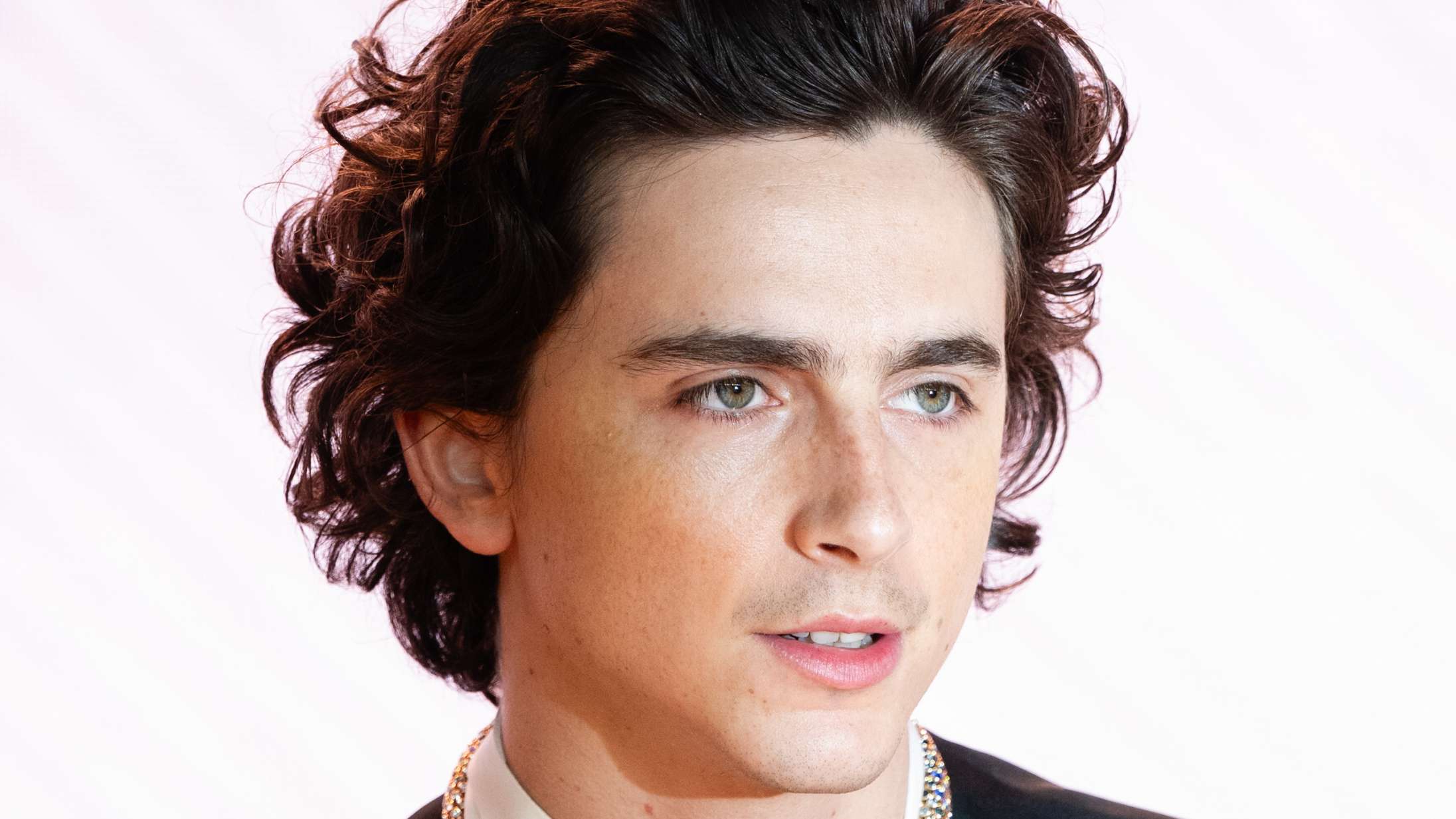 Timothée Chalamet er nok ligeglad med sin twink-død