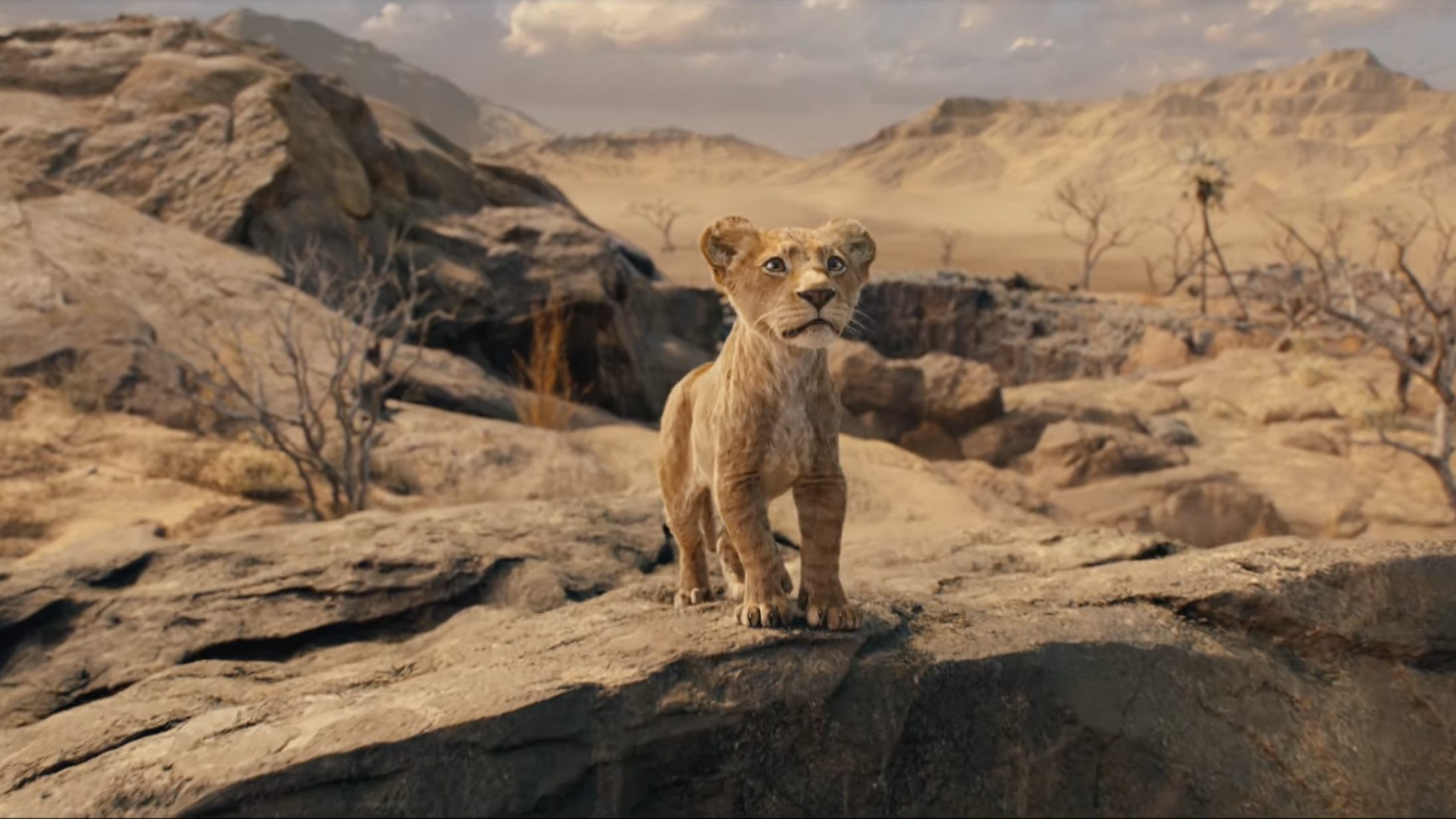 Se første trailer til Barry Jenkins’ ‘Mufasa: The Lion King’ – Mads Mikkelsen på rollelisten