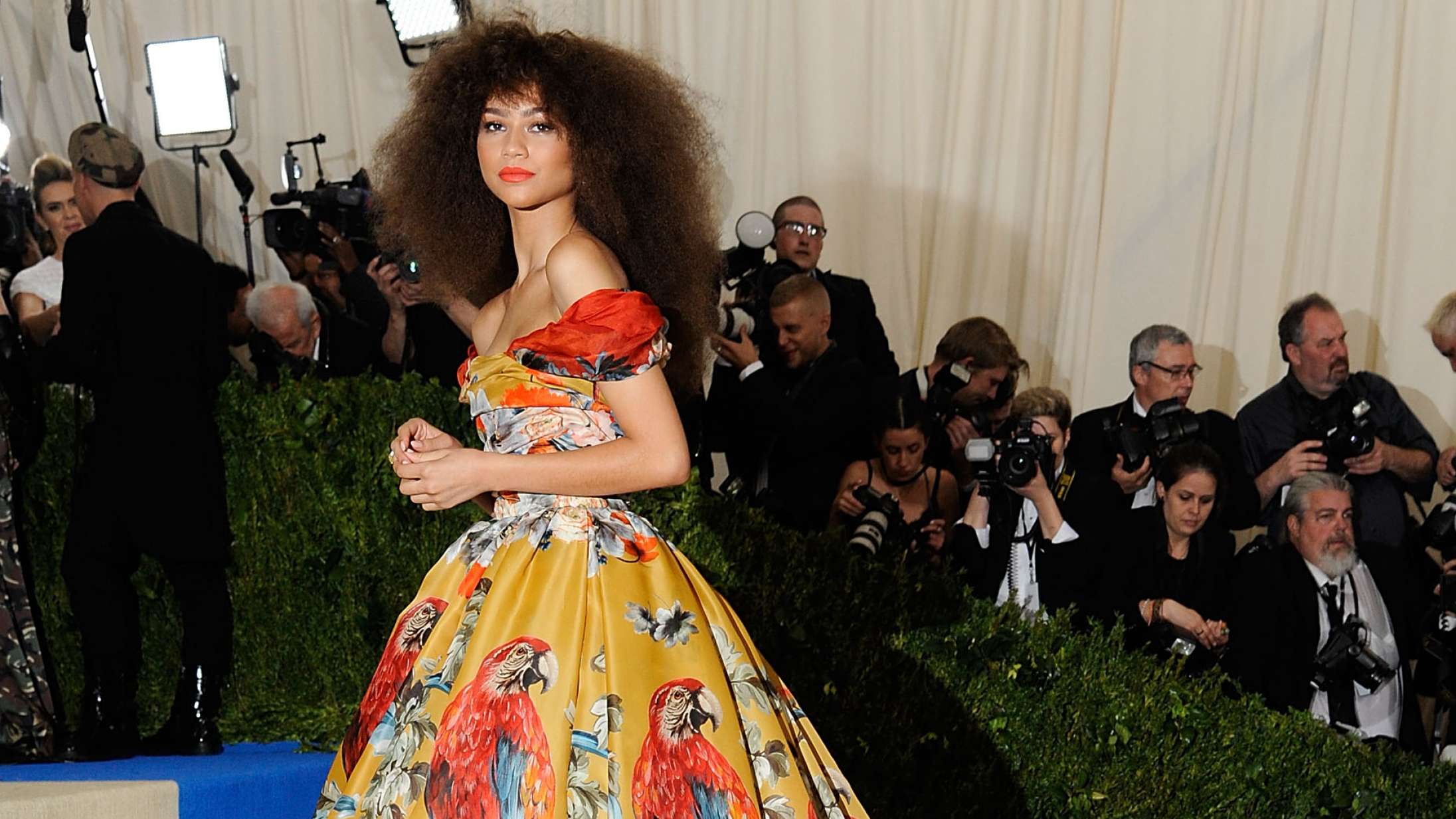 Derfor glæder vi os til at se netop dem her til årets Met Gala