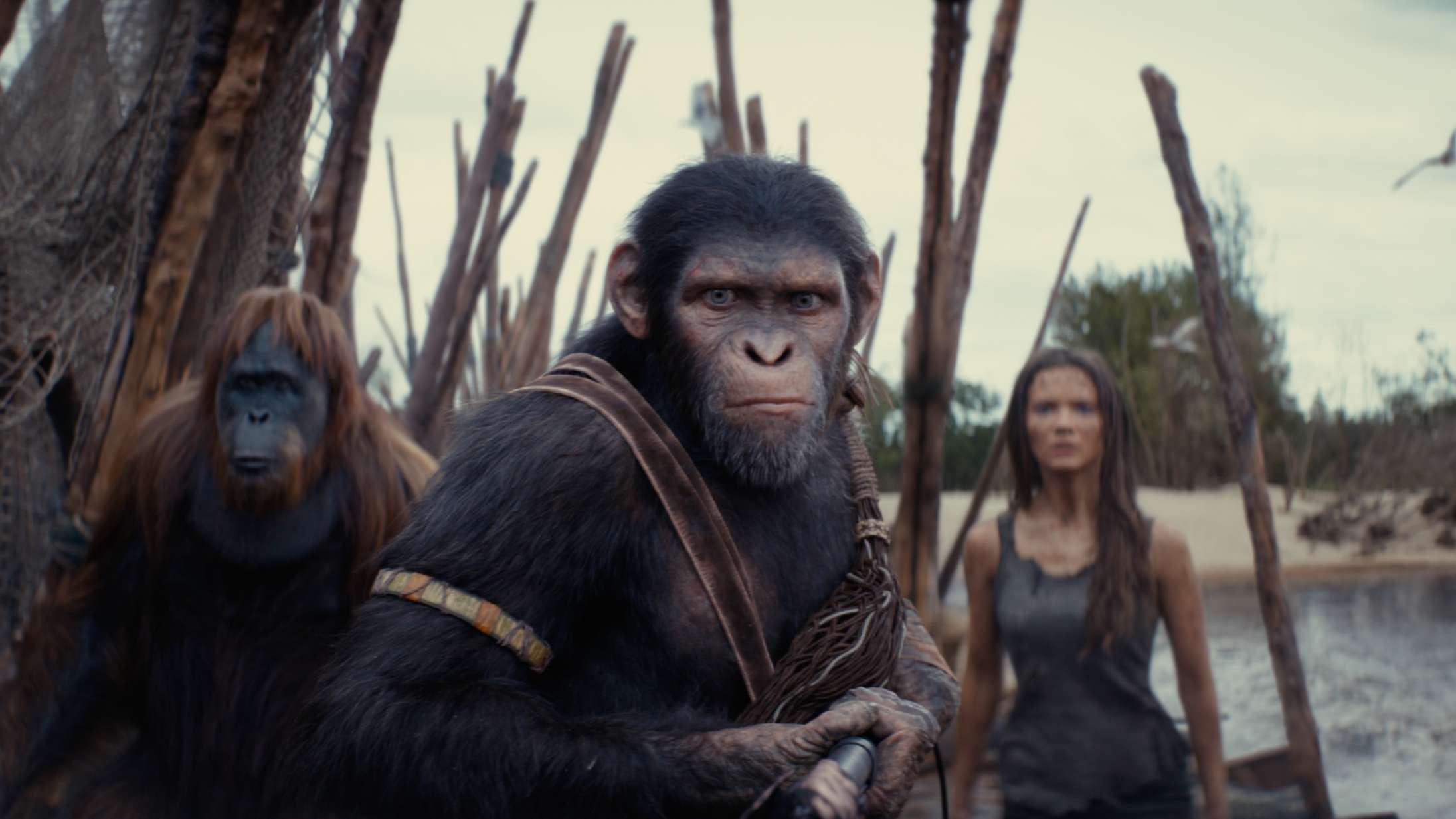 Marvel-instruktør skal stå bag kommende ’Planet of the Apes’-film