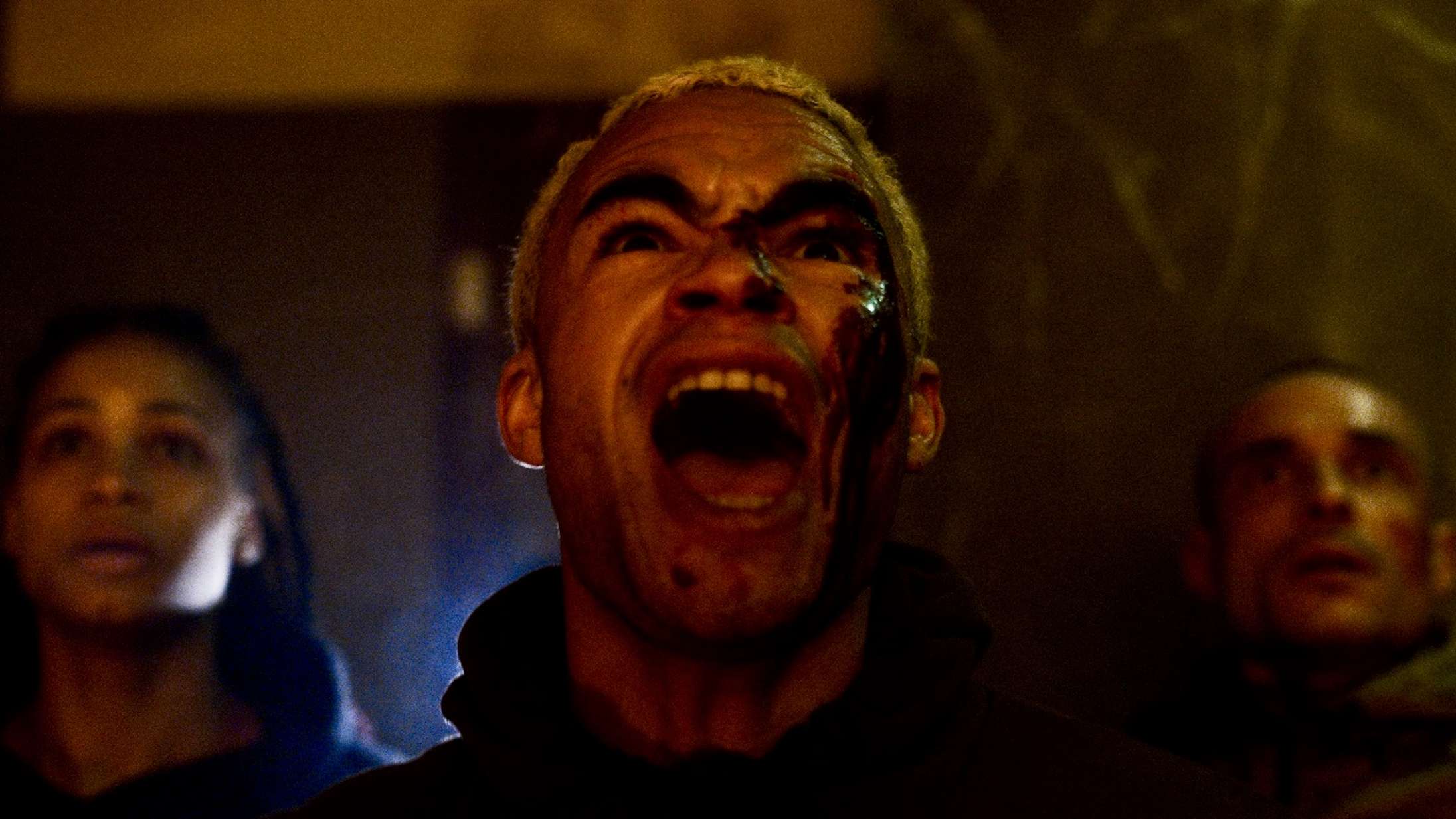 ’Vermin’: De lodne edderkopper i hypet horrorfilm vil få araknofobien frem i enhver