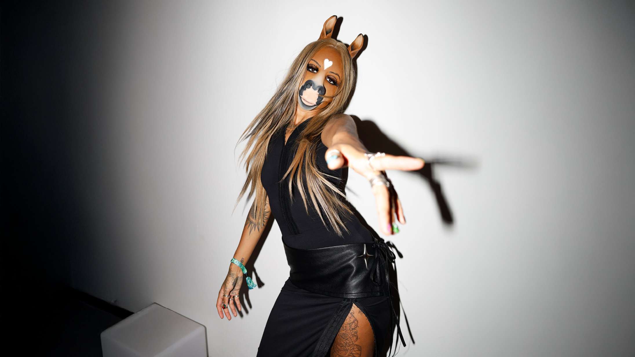 Ugens fem vigtigste album: Tysk dj-sensation laver sange om at være en hest