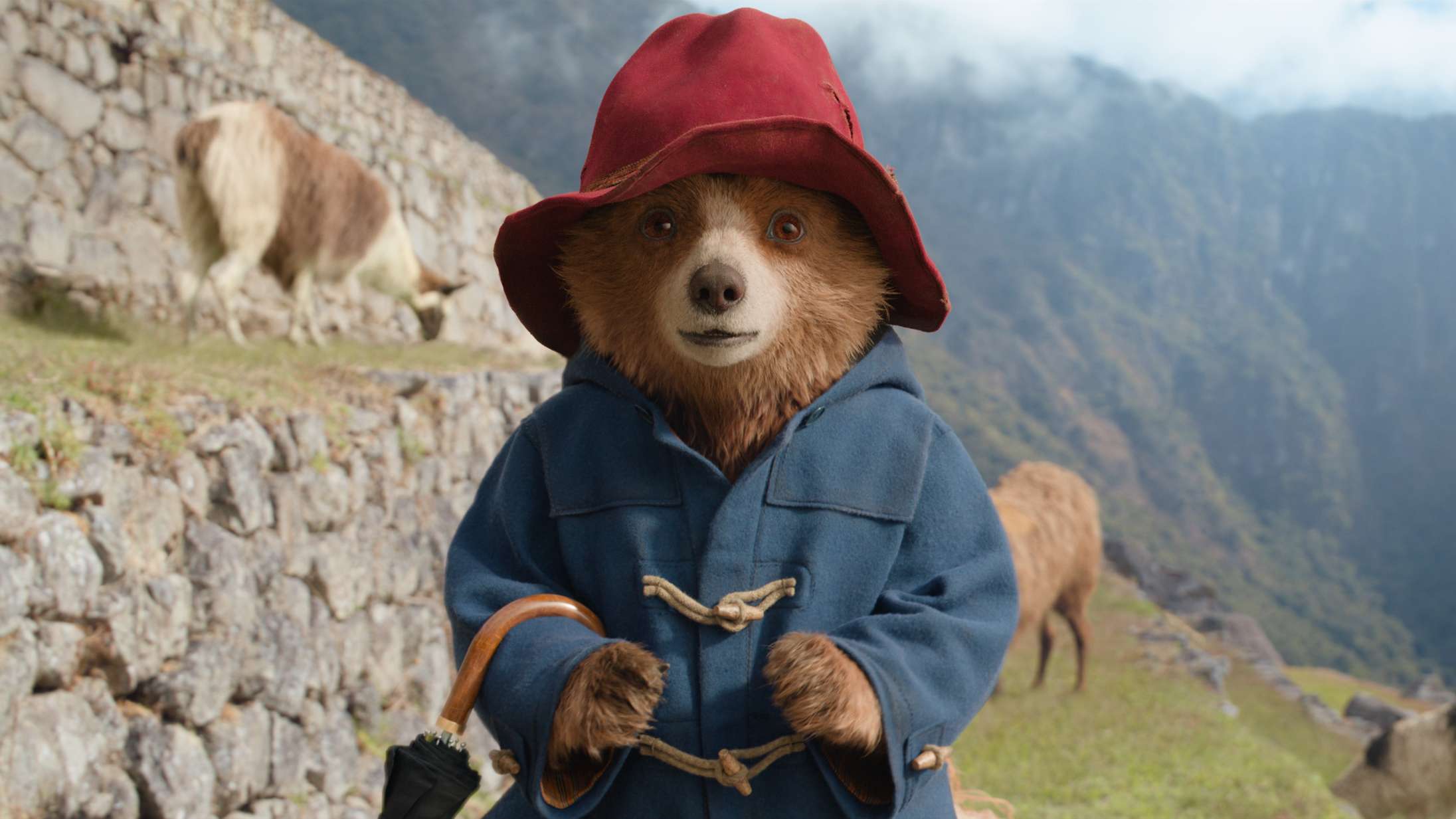 ’Paddington i Peru’: Det er utaknemmeligt at leve op til et mesterværk, og tredje bjørnefilm formår det da heller ikke