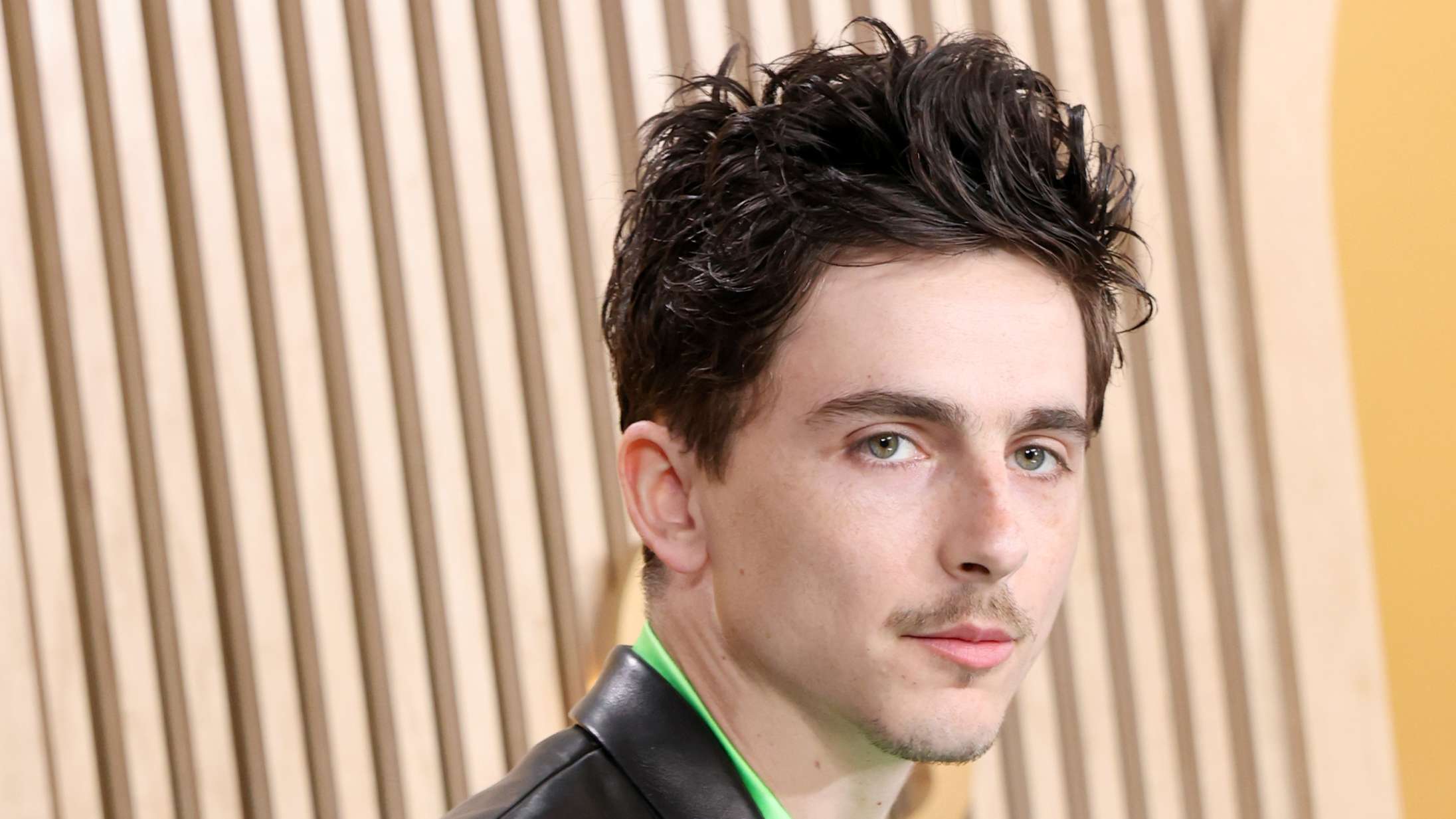 Timothée Chalamet latterliggøres efter kommentar om ballet og opera: »Ingen går op i det længere«