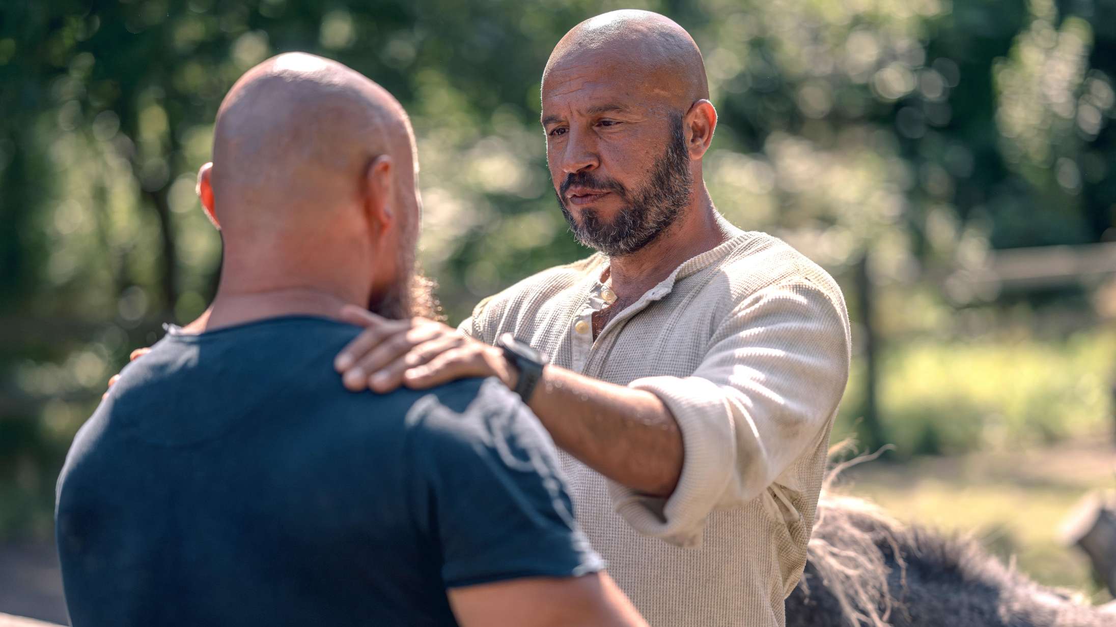 ’Herkules falder’: Dar Salim spiller fantastisk i stormombrust dansk film