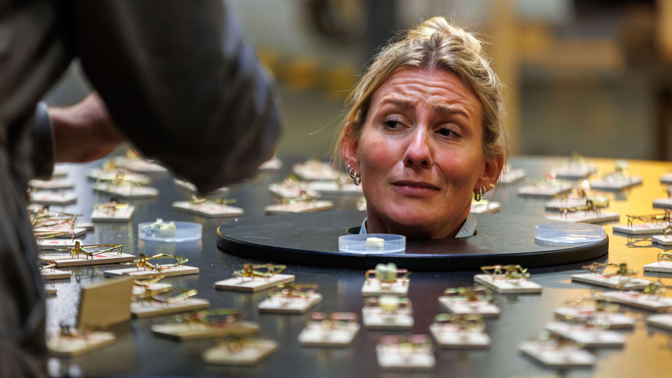 Fjern hyggefesten i det nye danske ’Fear Factor’ med Ruben Søltoft i Joe Rogans sted