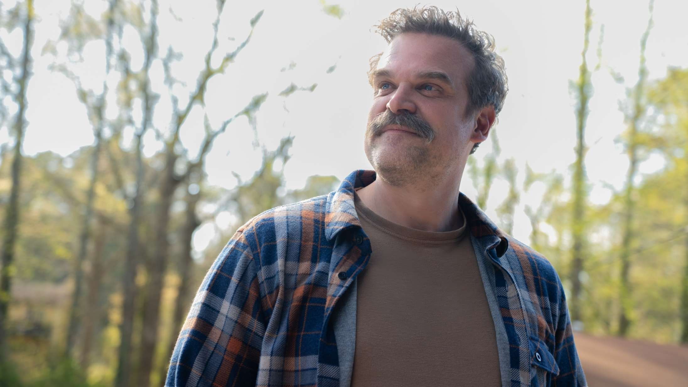 David Harbour har reddet sit ry med krum pik og døvedans i tidens bedste serie