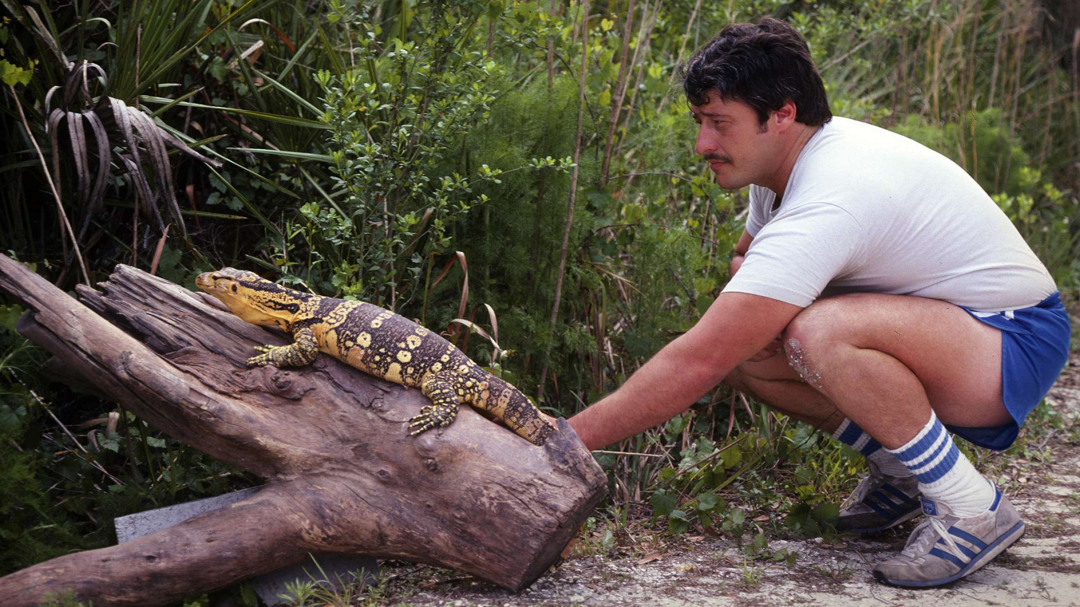 ’Monsters of God’: Tiger King’-instruktørs reptilserie har mange elskværdige galninge – men ingen Joe Exotic