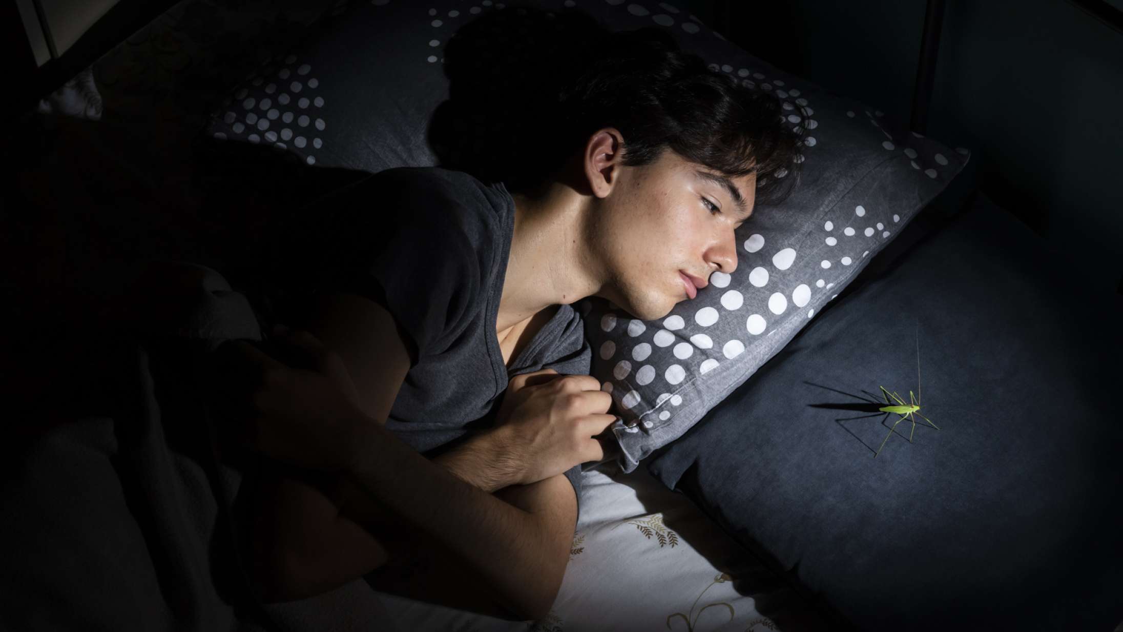 ‘Bugboy’: Det er ikke så tit, en fårekylling er hovedperson i en dokumentar